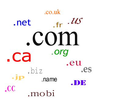 domain,domain name,โดเมน